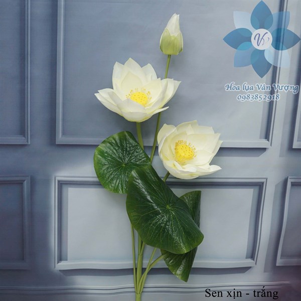Sen xịn - Trắng - Sen - Hoa Lụa Vân Vượng