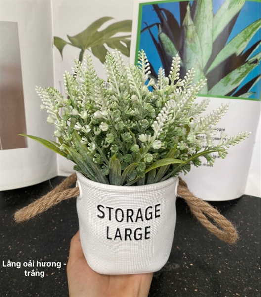 Lẵng oải hương - trắng - Chậu để bàn - Hoa Lụa Vân Vượng