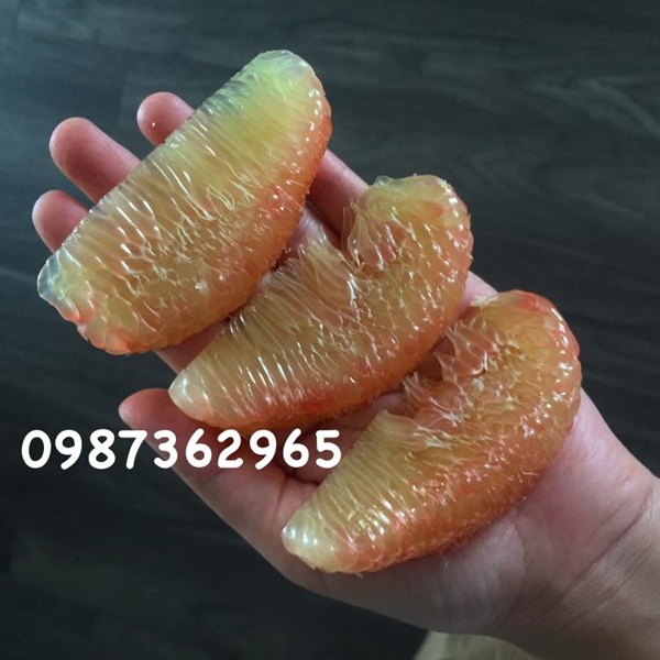 Da xanh 8 lạng-1kg