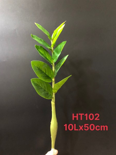 HT102 CÀNH LÁ KIM TIỀN 10 LÁ 50cm (Hộp x 100)