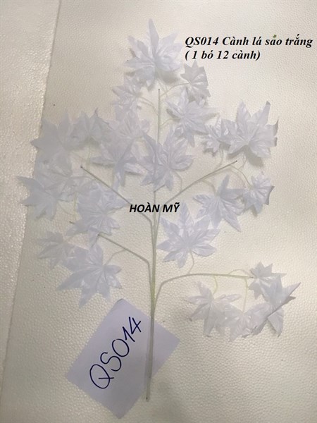 QS014 CÀNH LÁ SAO TRẮNG (Bó x 12)