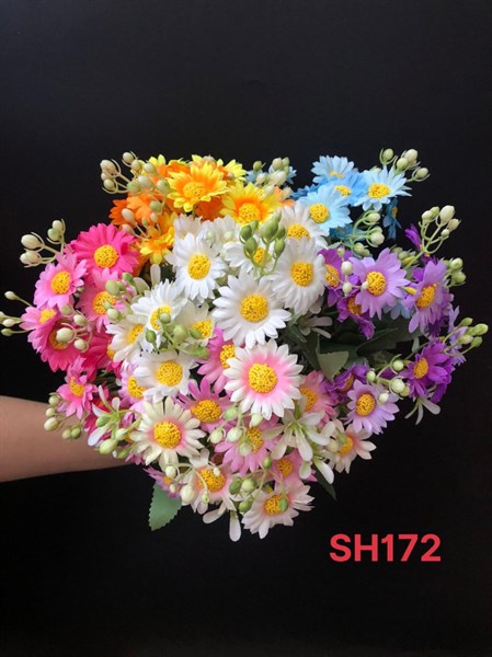 SH172 BỤI BÔNG CÚC DẠI NHỤY VÀNG 5N