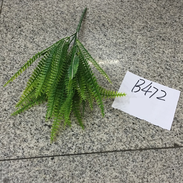 BỤI CỎ DƯƠNG XỈ B472