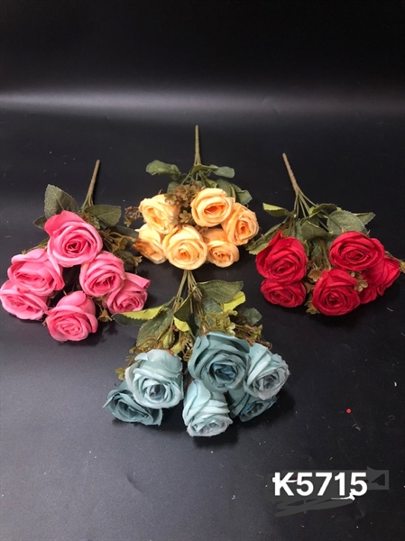 BỤI HỒNG ỐNG 6B K5715