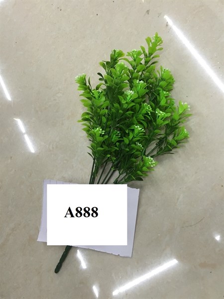 A888 BỤI CỎ BÔNG HẠT ĐẬU