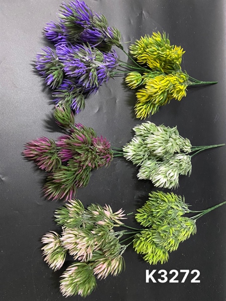 K3272 BỤI CỎ TRÁI THÔNG PHẤN 5N