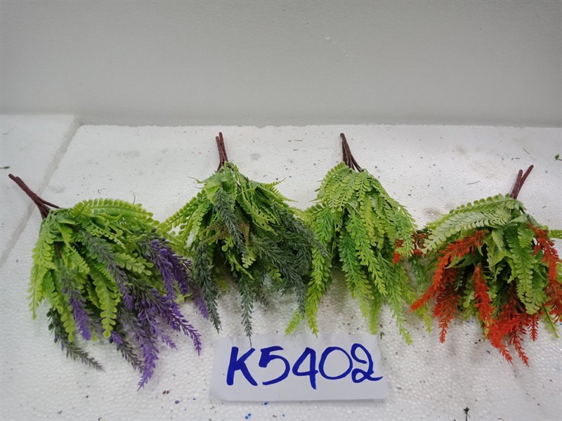 K5402 BỤI CỎ ĐUÔI CHỒN LÁ ME PHẤN