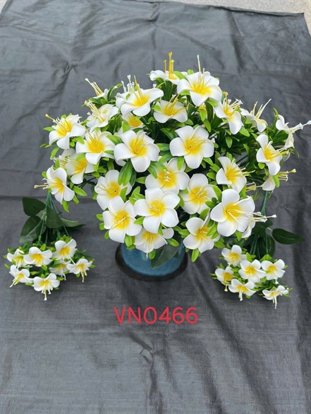BUI HOA SỨ VN XỐP 6B VN0466