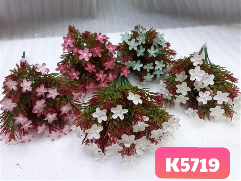 K5719 BỤI BÔNG CÚC ĐIỂM RONG