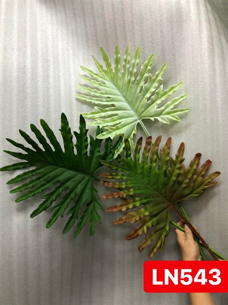 LN543 CÀNH THANH XUÂN 1 LÁ CS