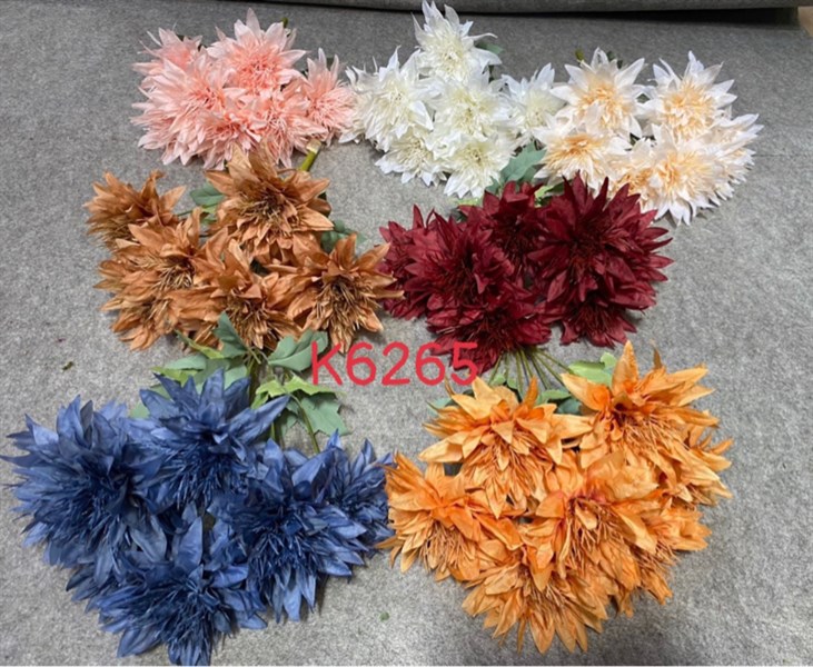 BỤI CÚC RÂU 7 BÔNG 7 MÀU