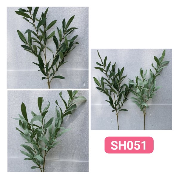 SH051 CÀNH LÁ OLIU 10 nhánh BẠC XANH 2 MÀU