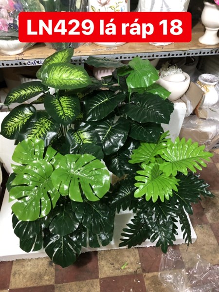 LN429 CÂY LÁ RÁP 18 LÁ (gân vàng, gân đen, khía lỗ, răng cưa)