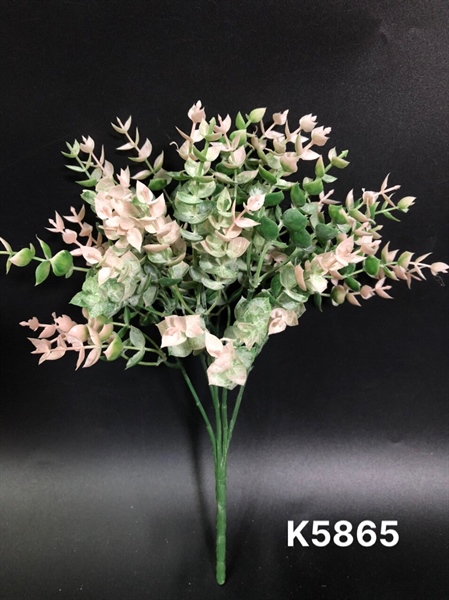 K5865 BỤI MẮT TRÂU PHẤN 5N