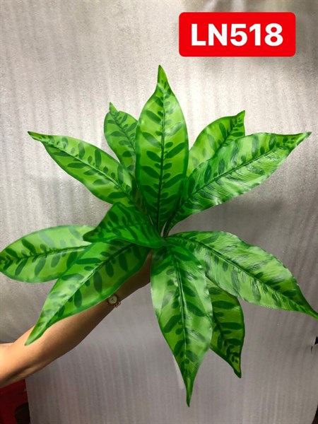 LN518 BỤI LÁ ĐUÔI CHỒN 12 LÁ