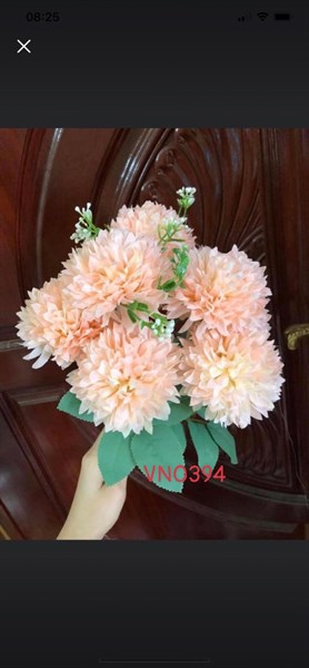BỤI CÚC XÙ VN 7B LÁ MỜ VN0394