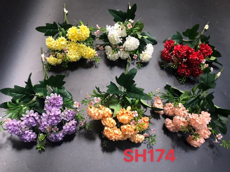 BỤI THƯỢC DƯỢC TÚ CẦU 5N SH174