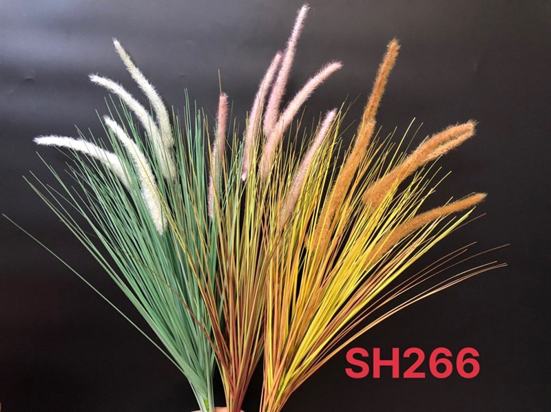 SH266 BỤI CỎ LAU SÂU KHÔ 5B 80cm