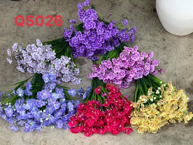 QS026 BỤI CỎ HẸ BĂNG XÊ (HP-HS-V-TI-XĐ )