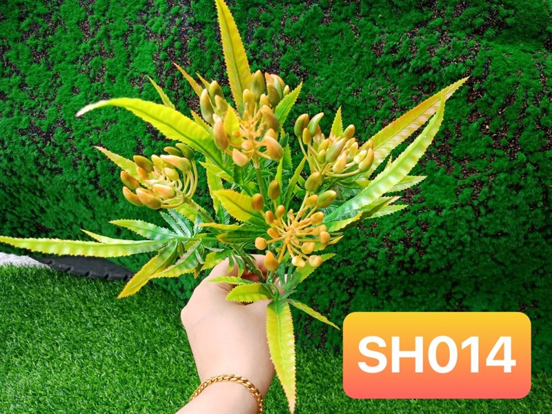 SH014 BỤI LÁ TRÀ CÓ BÔNG XI