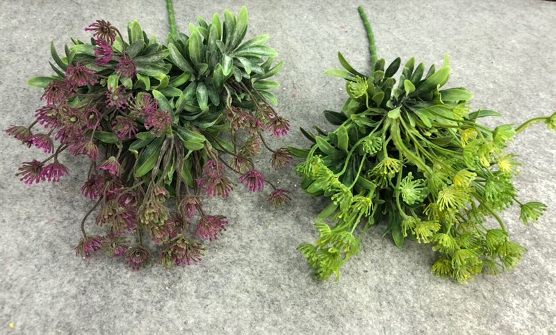 K5512 BỤI CỎ LÁ LA HÁN BÔNG DU LY LỚN