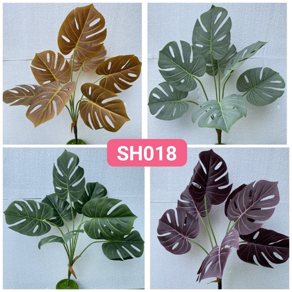 SH018 BỤI LÁ TRẦU BÀ CHÂN VỊT XI