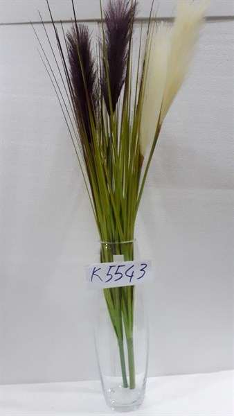 K5543 CÀNH CỎ HOA LAU 3B