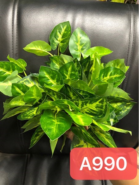 BỤI LÁ MÔN 8 NHÁNH A990