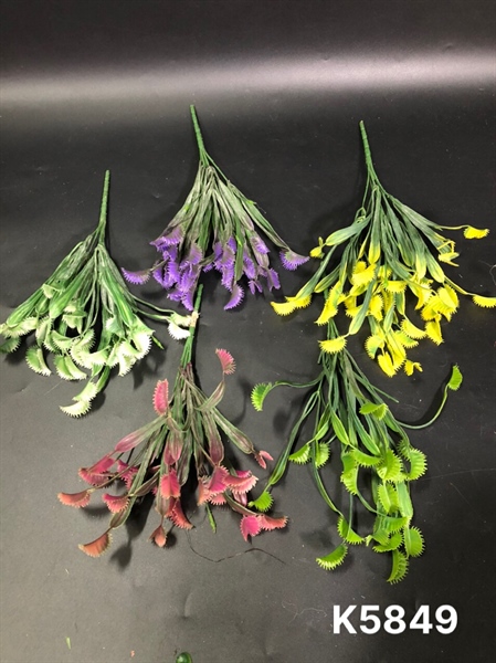 K5849 BỤI RONG BIỂN CÓ BÔNG