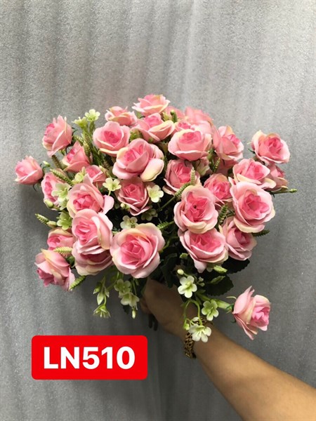 BỤI HỒNG THIÊN HƯƠNG NHÍ (T-BB-MG-V-H) LN510