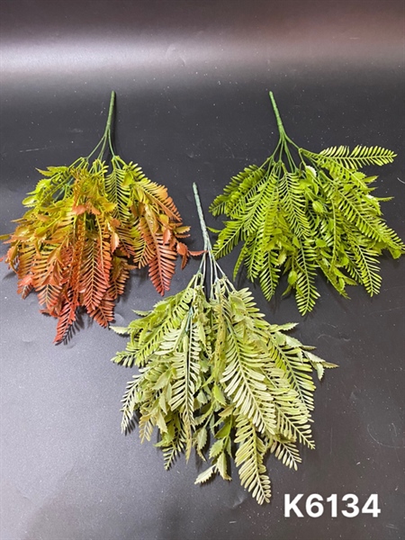 K6134 BỤI LÁ DỪA RAU ĐẮNG 5N