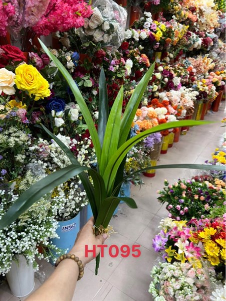 HT095 BỤI LÁ LAN KIẾM NHỌN LỚN 10 LÁ H60cm (hộp 40 )