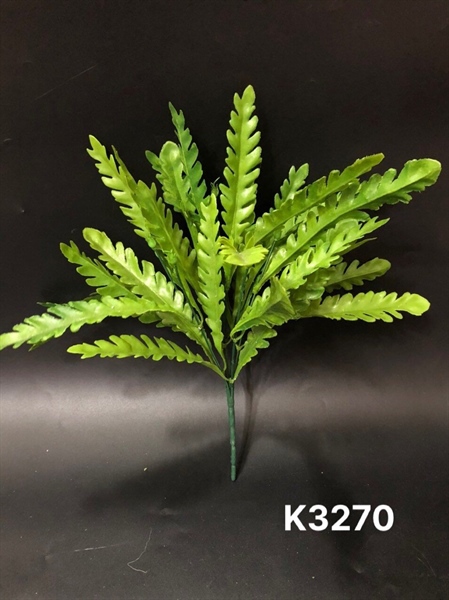 K3270 BỤI CỎ NHIỆT ĐỚI