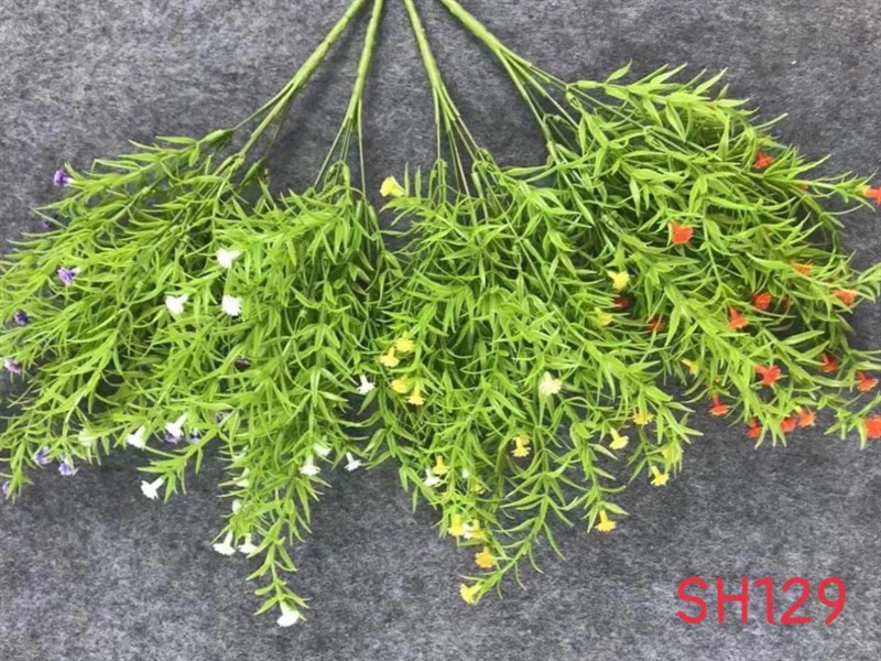 BỤI CỎ TÙNG ĐIỂM BÔNG NGÀN SAO 5 NHÁNH SH129