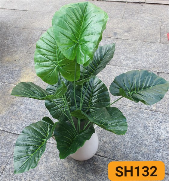 SH132 CÂY LÁ TRẦU XANH 12 LÁ CÓ RỄ 60CM