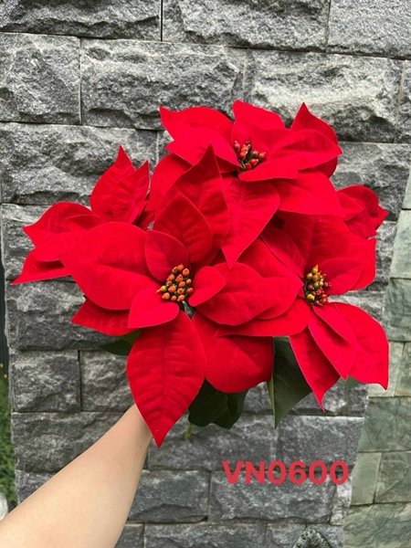 BỤI TRẠNG NGUYÊN 5 B CAO CẤP VN0600