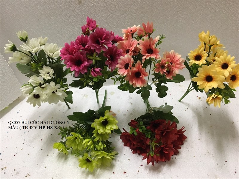 QS057 BỤI BÔNG CÚC HẢI DƯƠNG