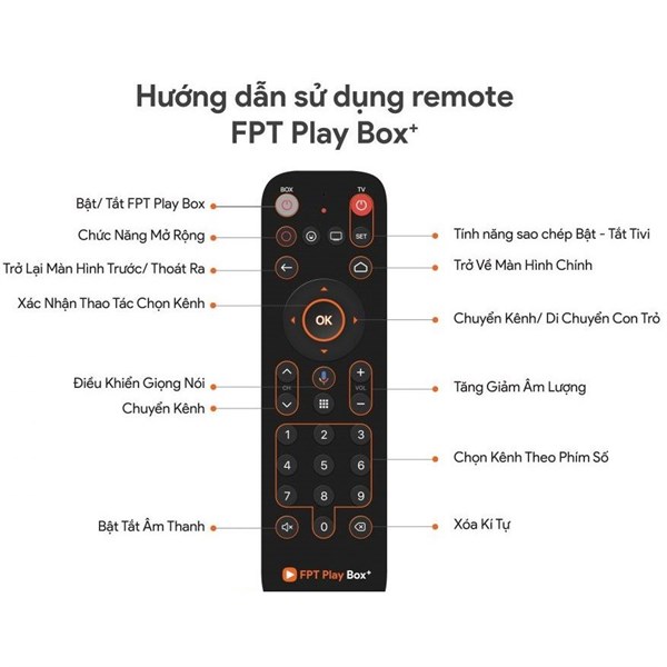 Remote FPT Play Box
