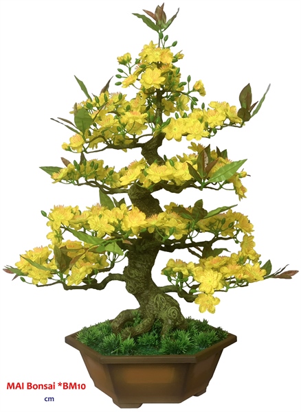 ảnh sản phẩm