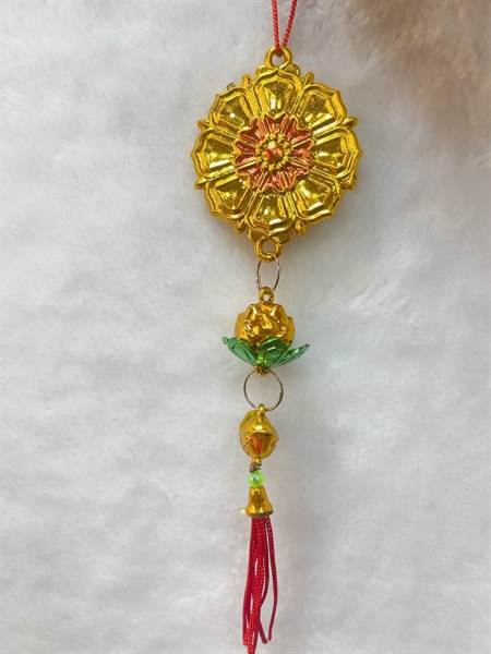 ảnh sản phẩm