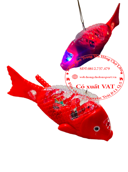 ảnh sản phẩm