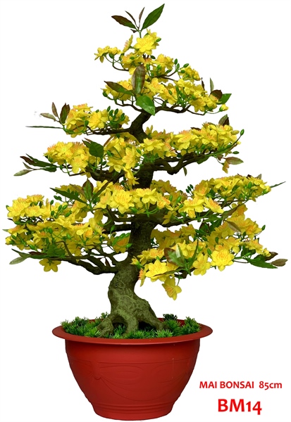 ảnh sản phẩm
