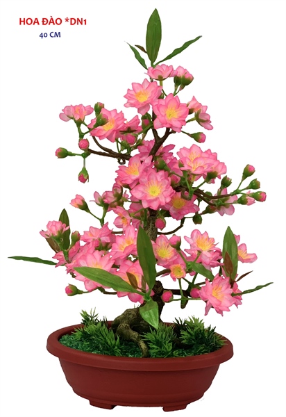 ảnh sản phẩm
