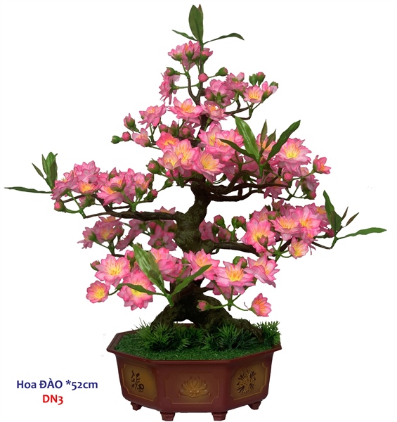 ảnh sản phẩm