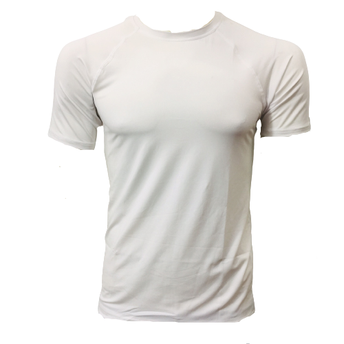 Áo thể thao HSPORT nam Body tay ngắn M=>3XL, 36A