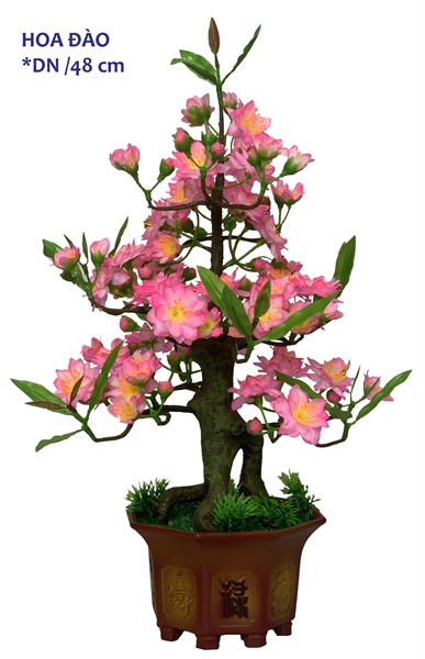 ảnh sản phẩm