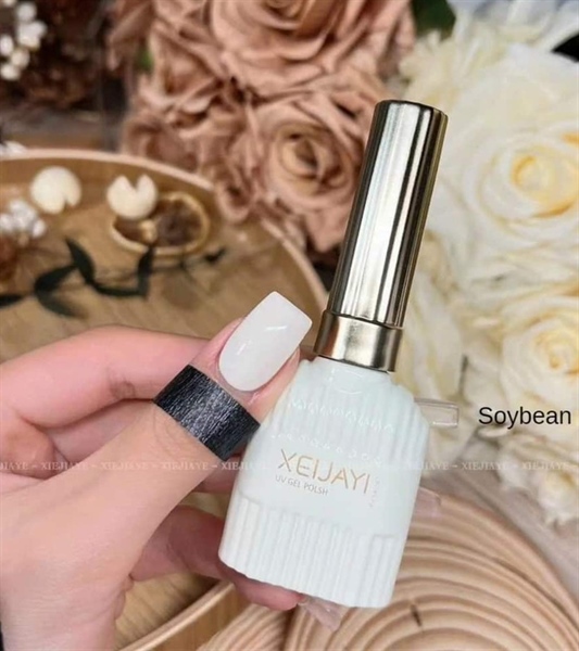 Sơn gel lẻ xeijayi chai 15ml