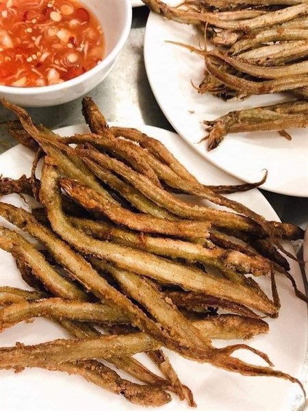 Cá sụn