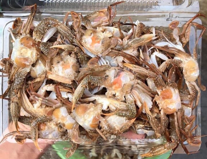 Ghẹ sữa