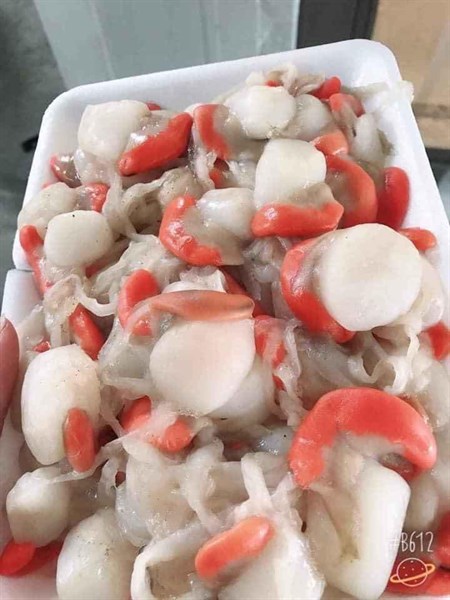 Sò điệp